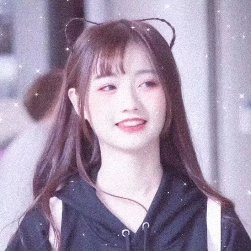 金车美人 封面